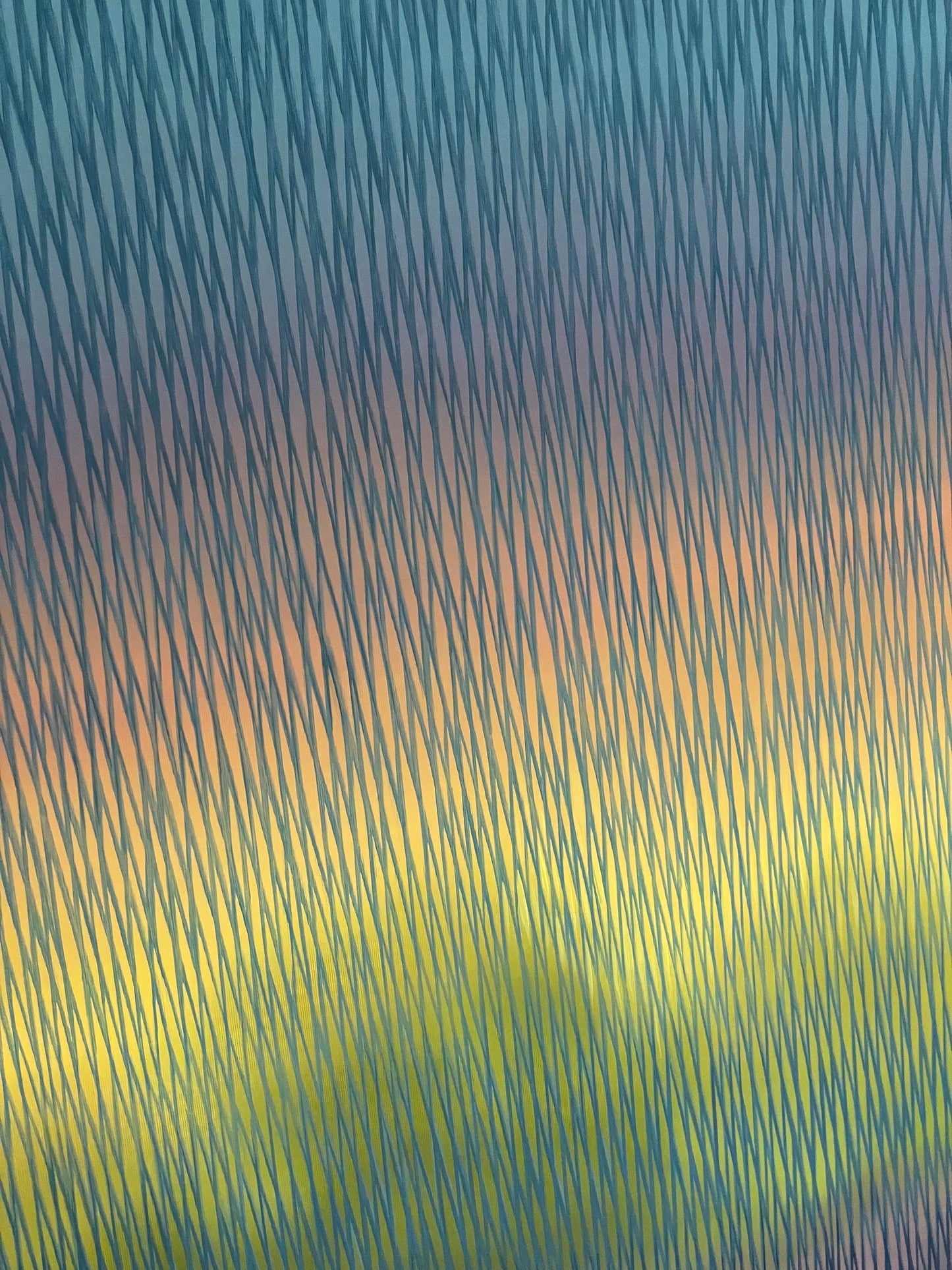 Meditation 95
